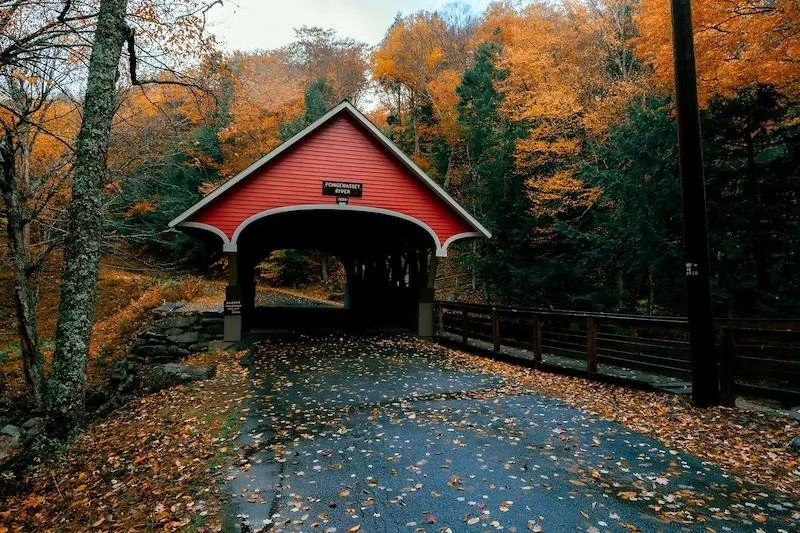 Peak Fall Color at Green View Point