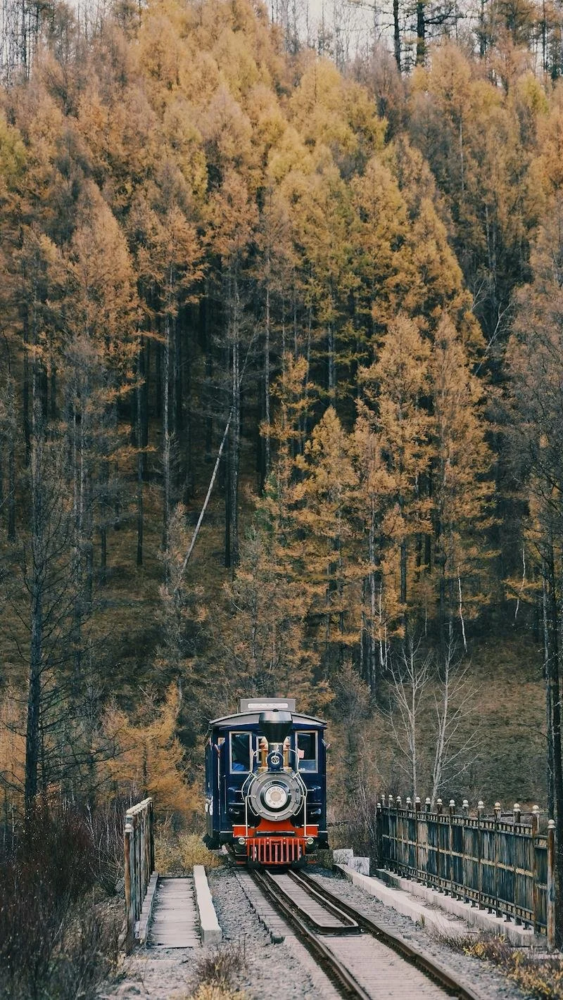 Oktoberfest Express Train (21+)