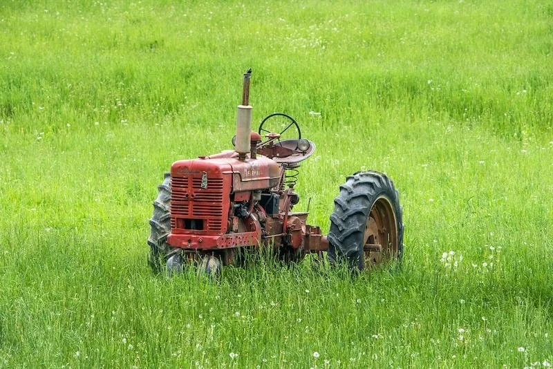 Fall Harvest Festival & Tractor Show