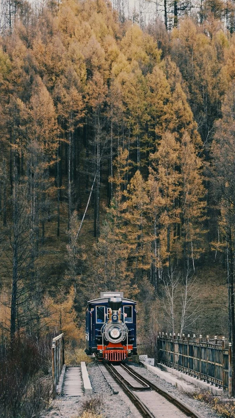 Oktoberfest Express Train (21+)