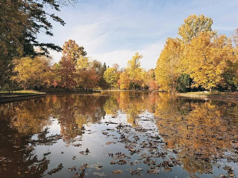Frederik Meijer Gardens & Sculpture Park