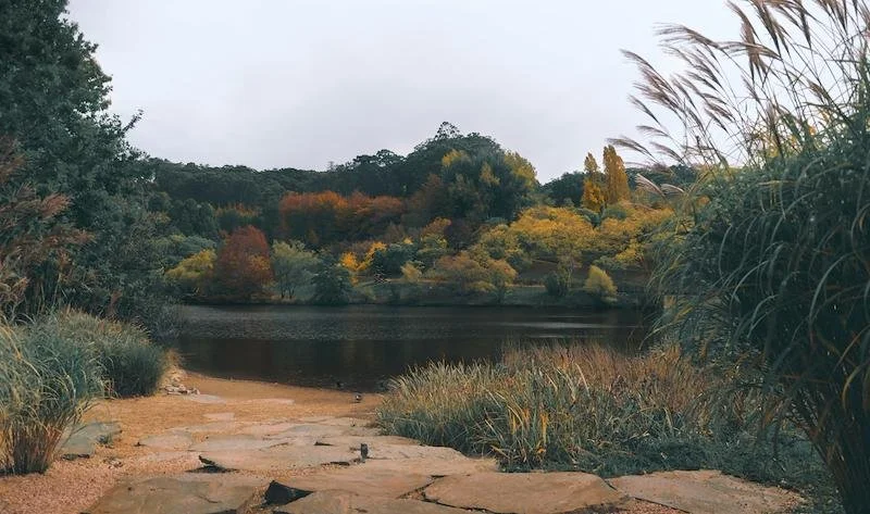 Ionia State Recreation Area & Sessions Lake