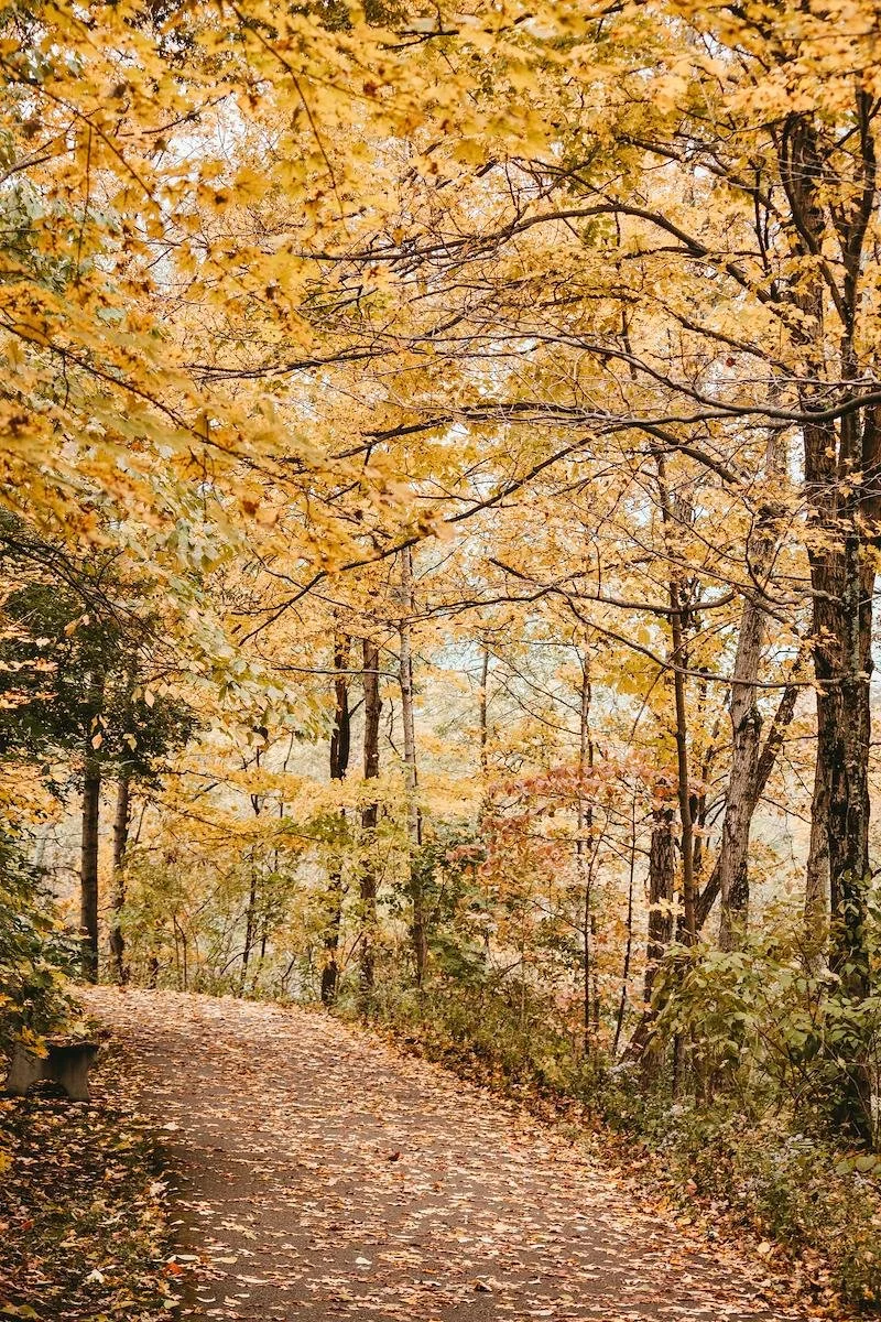 Fred Meijer Grand River Valley Rail-Trail