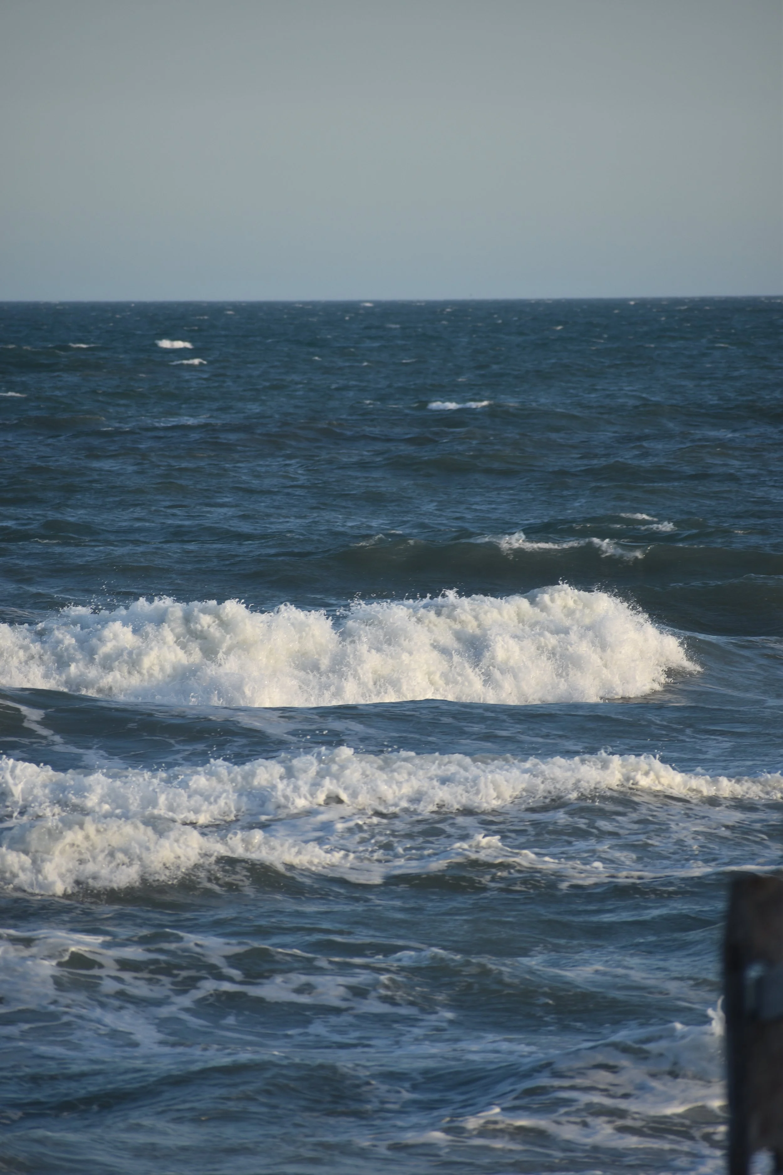 DSC_0735.JPG