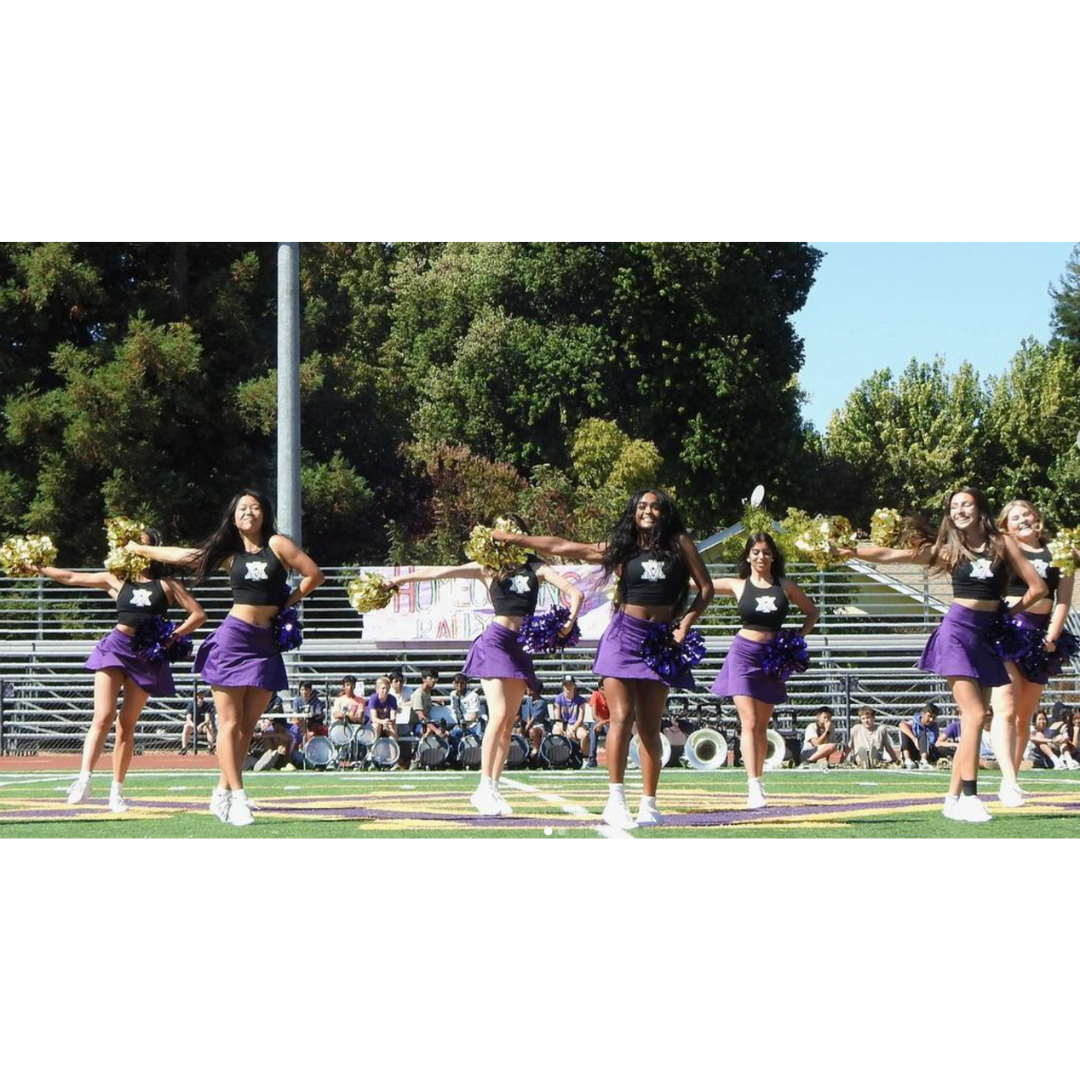 POM (3).png