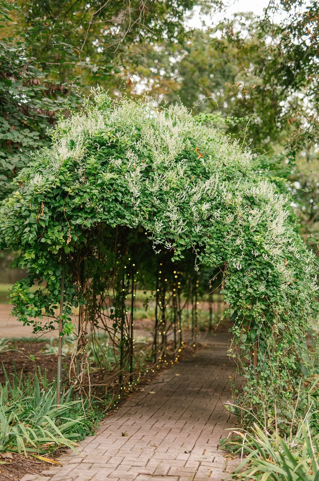 SydneyDylanWedding-8430.jpg