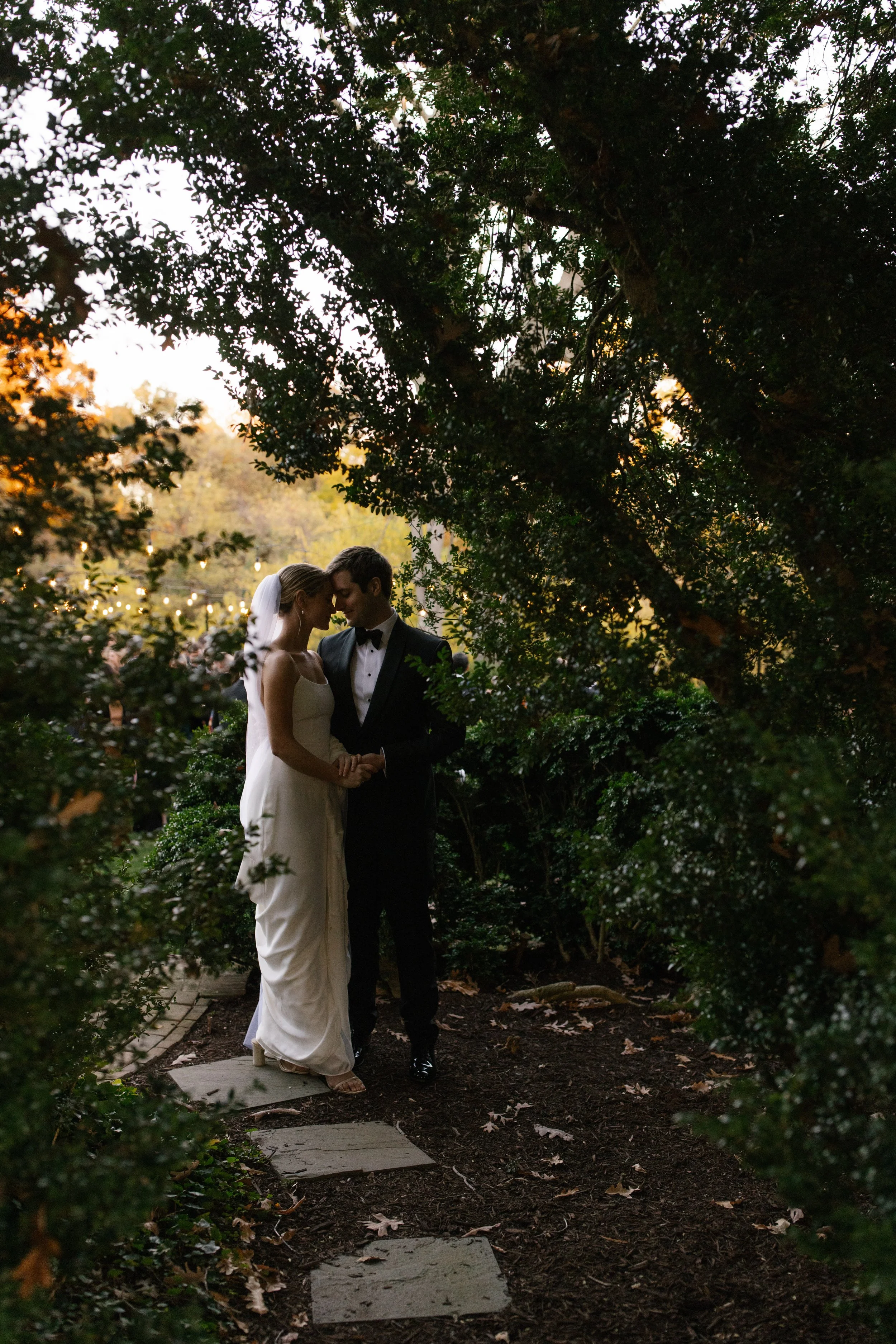 artistic portrait of bride and groom in trees taken by a Nashville luxury wedding photographer