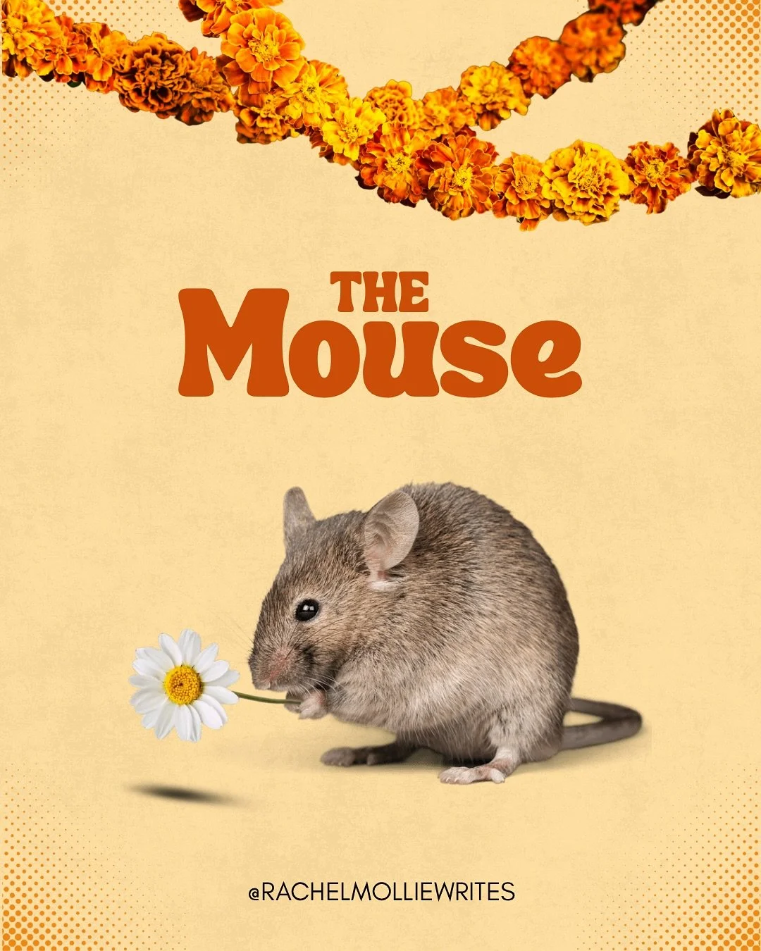 The mouse.🐭 

#wildwisdom #mouse #resourcefulness #humility #attentiontodetails