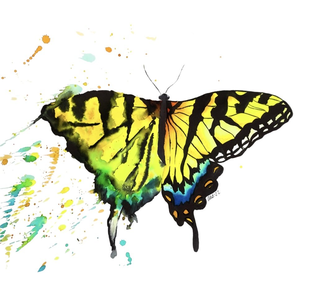 Butterfly Balance