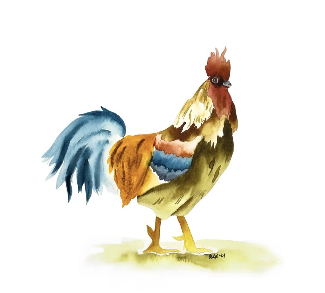 Rooster