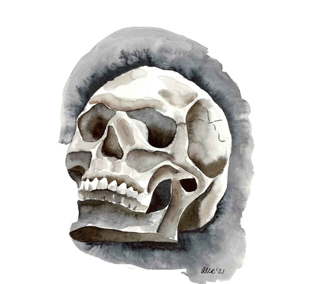 Skull