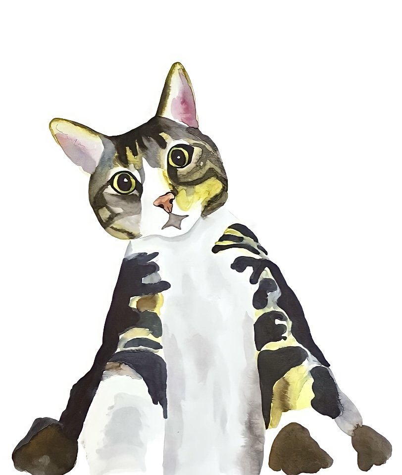 Tabby Cat