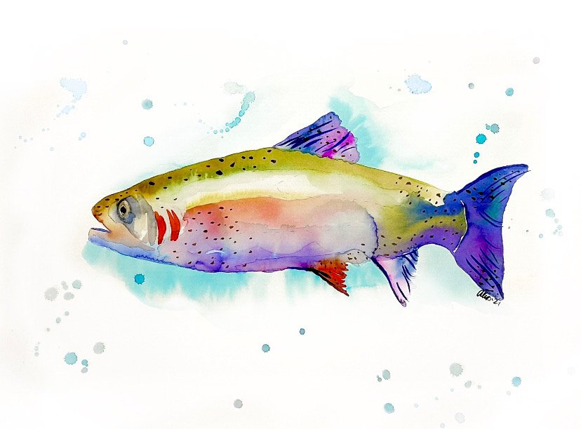 Trout
