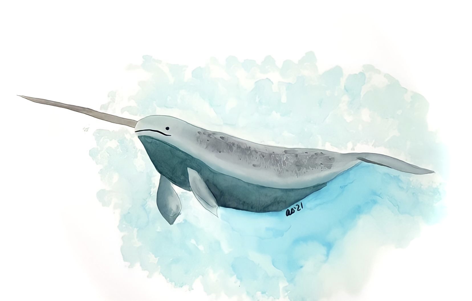Narwhal