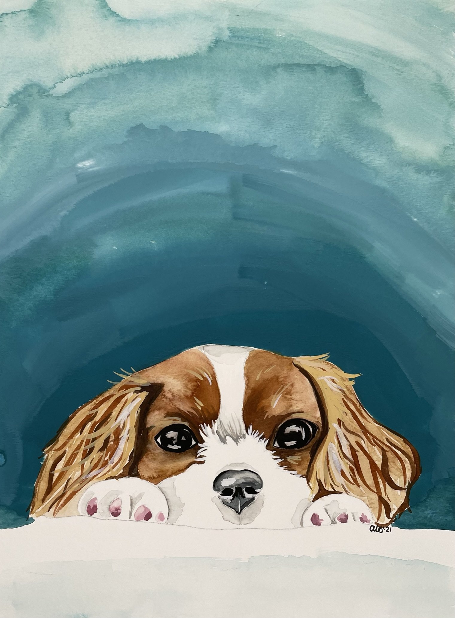 Cavalier