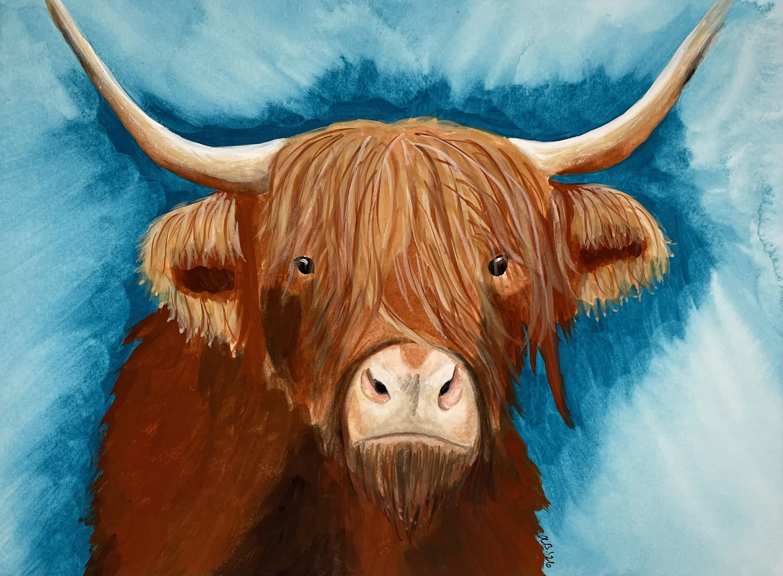 Highland Cow