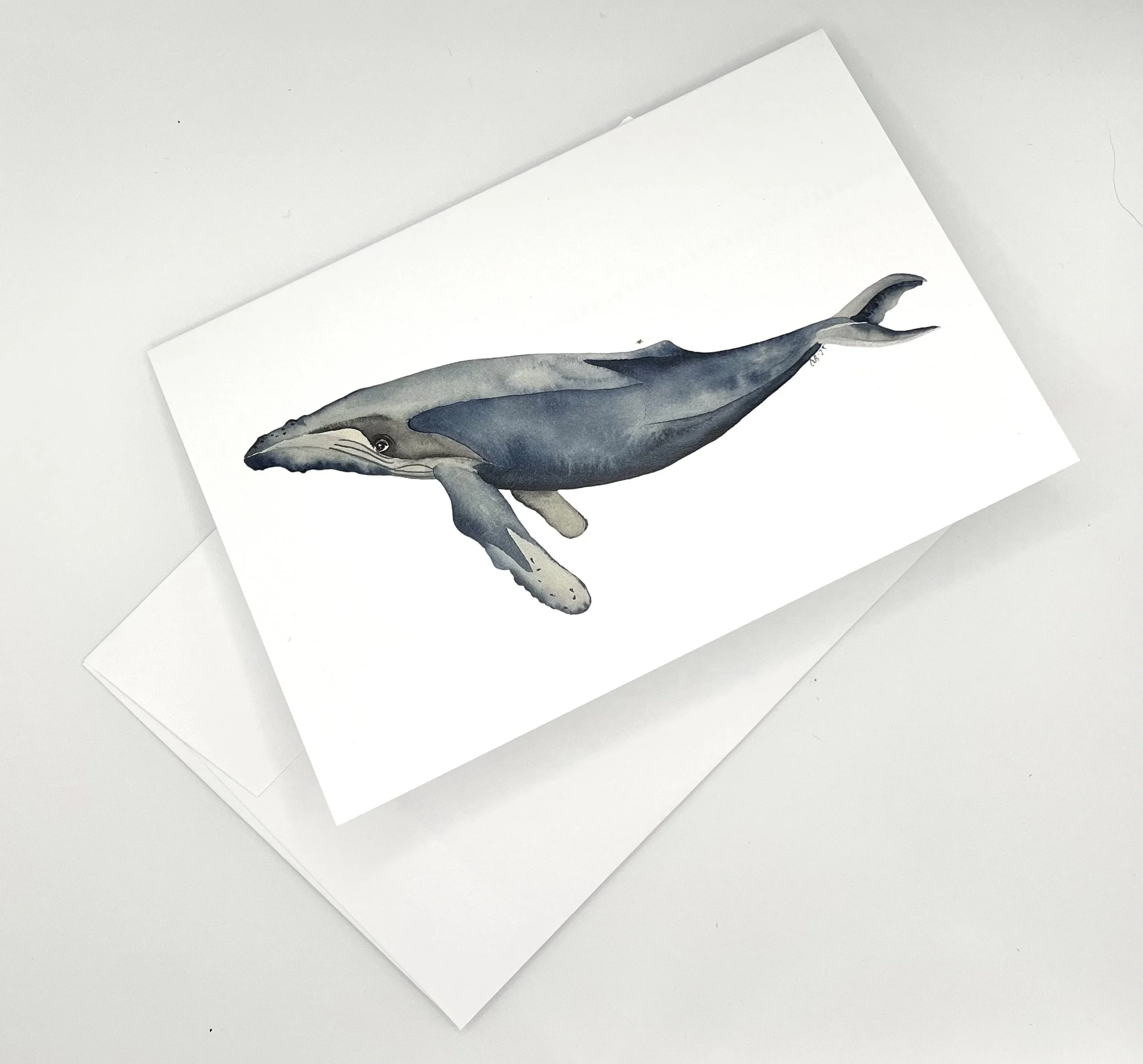 Humpback Whale Card