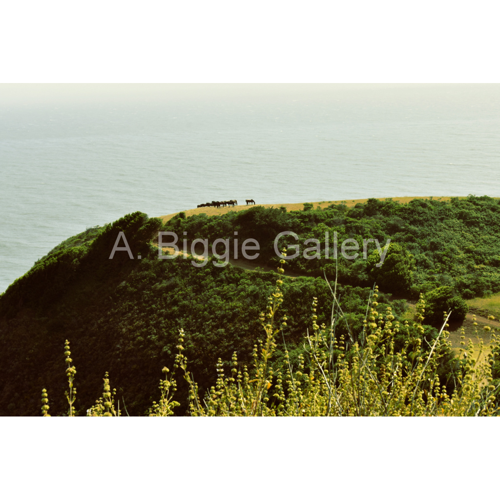 image_original_46acb4c27fc6dd565fdffc224b6bb32a.png