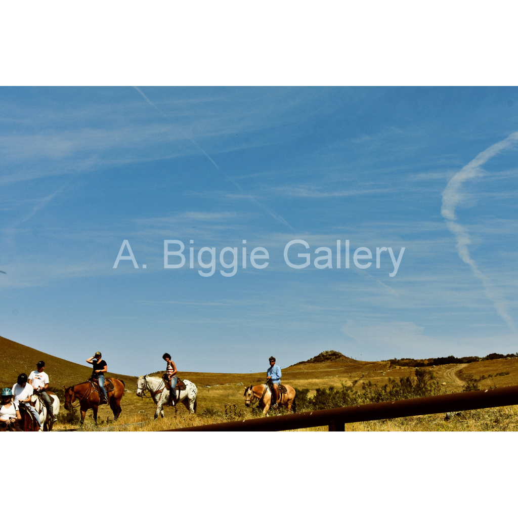 image_original_46acb4c27fc6dd565fdffc224b6bb32a.png
