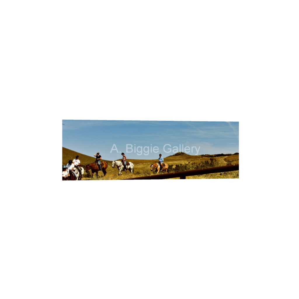 ptq_1_2_0_1707_5120_1706_0_false_ffffff_0_0_46acb4c27fc6dd565fdffc224b6bb32a.png