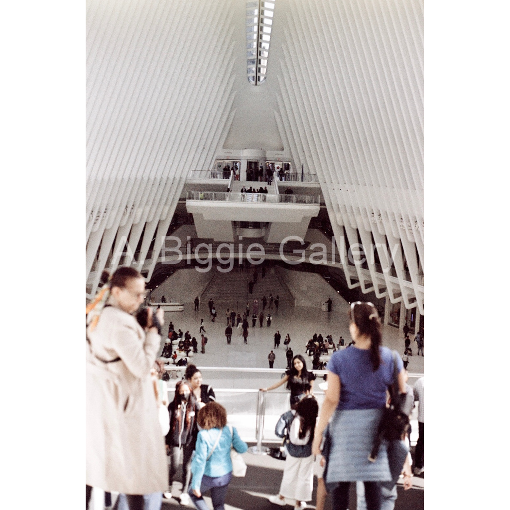 image_original_46acb4c27fc6dd565fdffc224b6bb32a.png