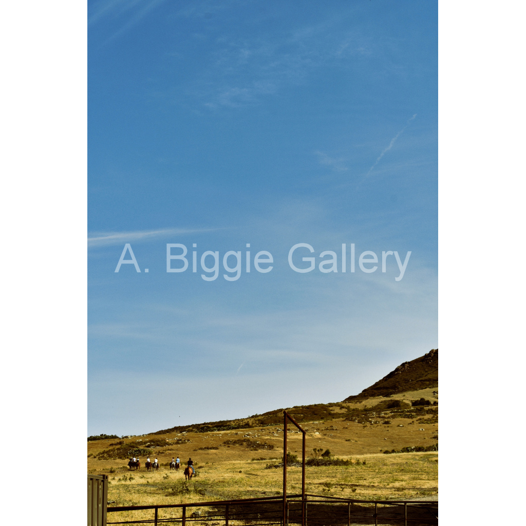 image_original_46acb4c27fc6dd565fdffc224b6bb32a.png