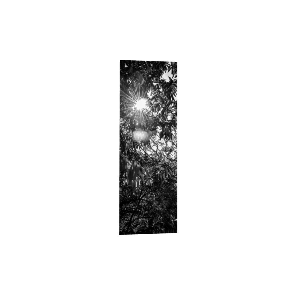 ptq_1_2_390_0_2000_6000_0_false_ffffff_0_0_.png