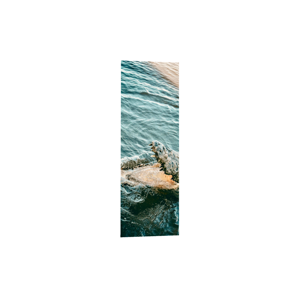 ptq_1_2_1050_0_2000_6000_0_false_ffffff_0_0_.png
