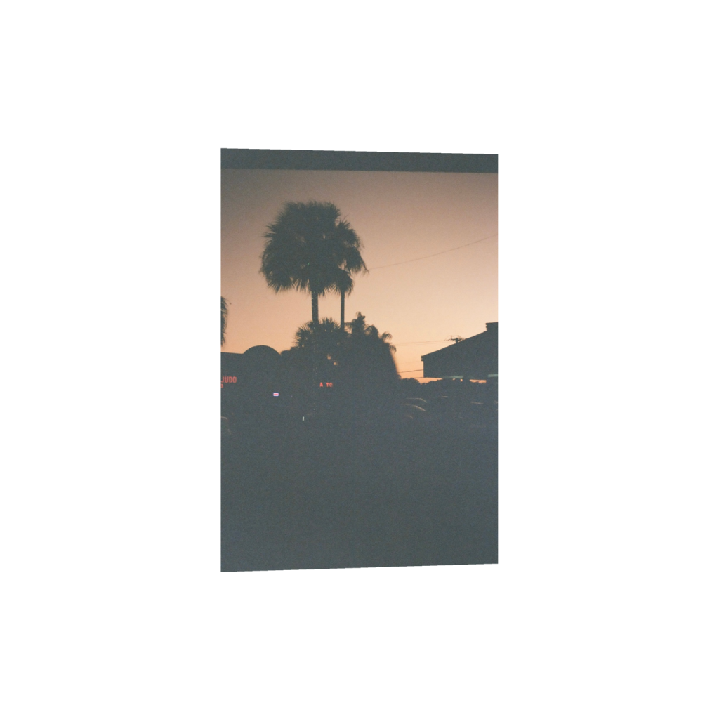 ptq_1_3_2_11_1036_1554_0_false_ffffff_0_0_.png