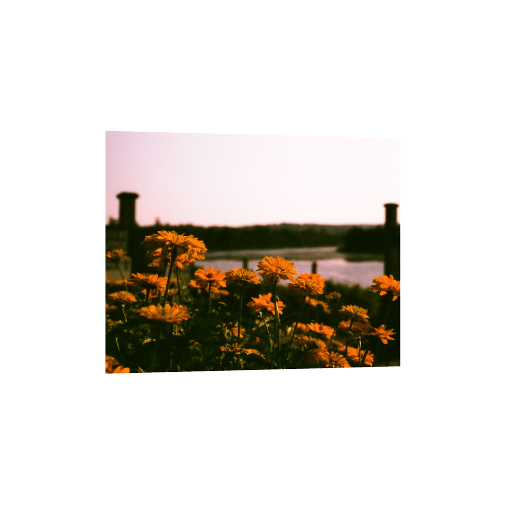 ptq_1_6_77_0_1296_1037_0_false_ffffff_0_0_.png