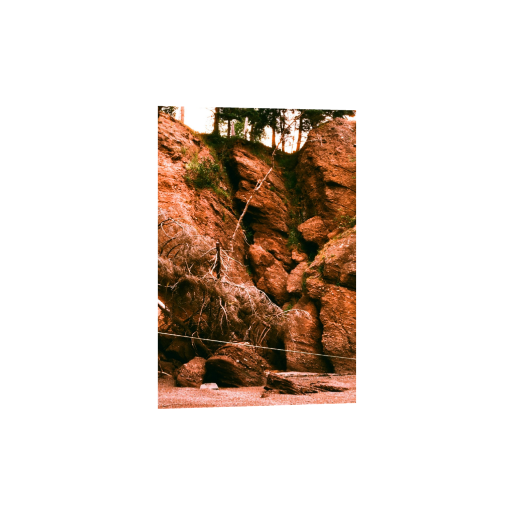 ptq_1_3_0_4_1037_1555_0_false_ffffff_0_0_.png