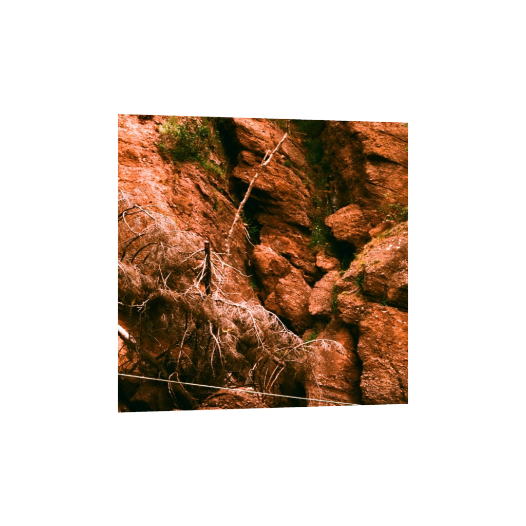 ptq_1_0_0_264_1037_1037_0_false_ffffff_0_0_.png