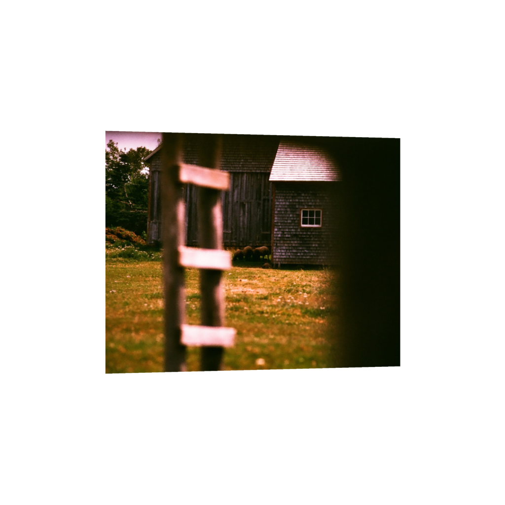 ptq_1_6_134_0_1296_1037_0_false_ffffff_0_0_.png
