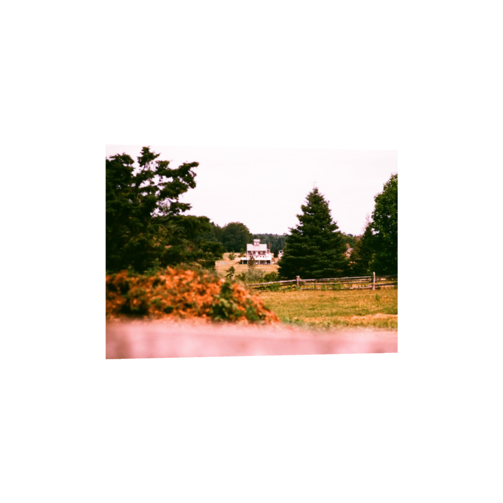 ptq_1_7_56_0_1451_1037_0_false_ffffff_0_0_.png