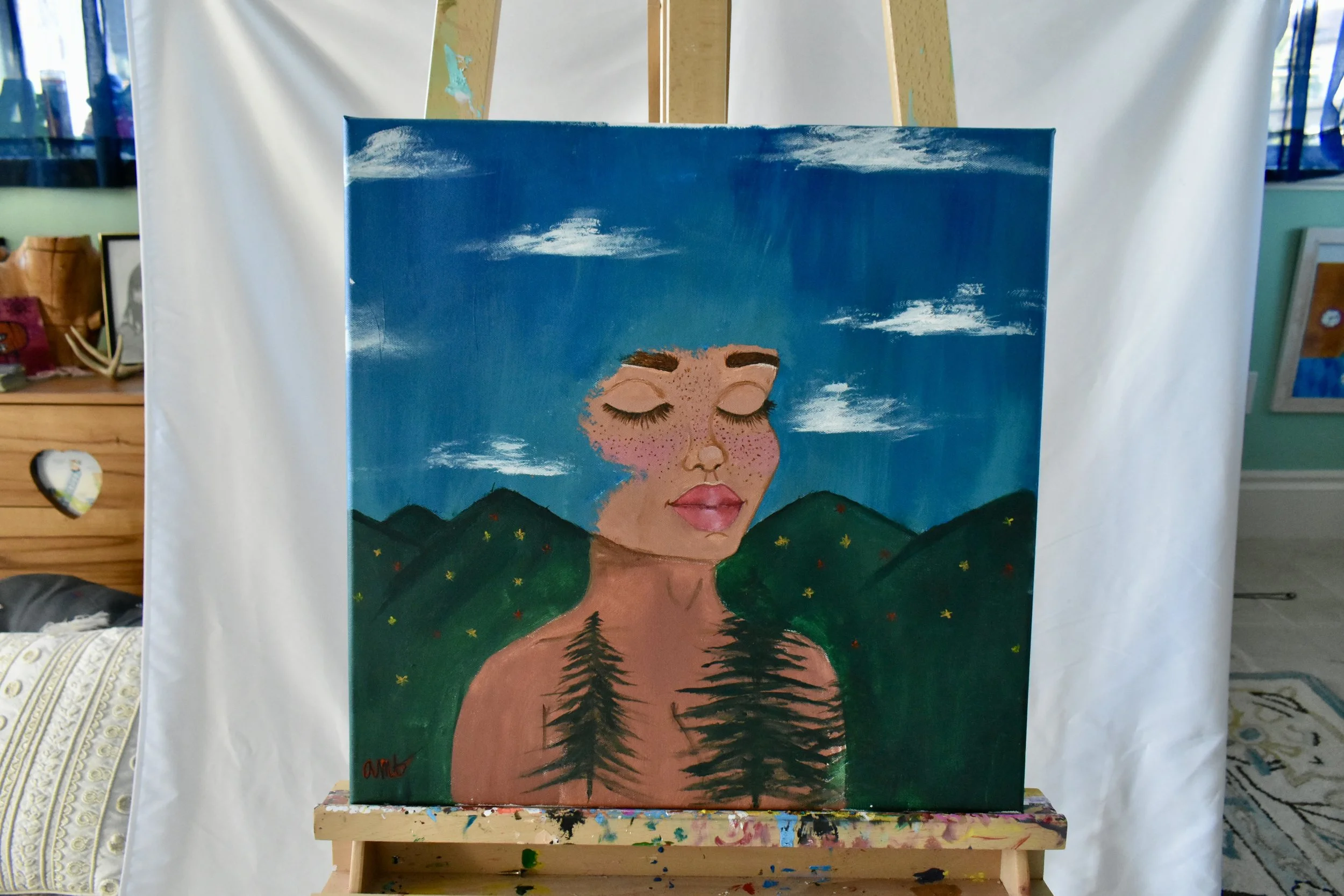 Mama Earth, 2018
$400