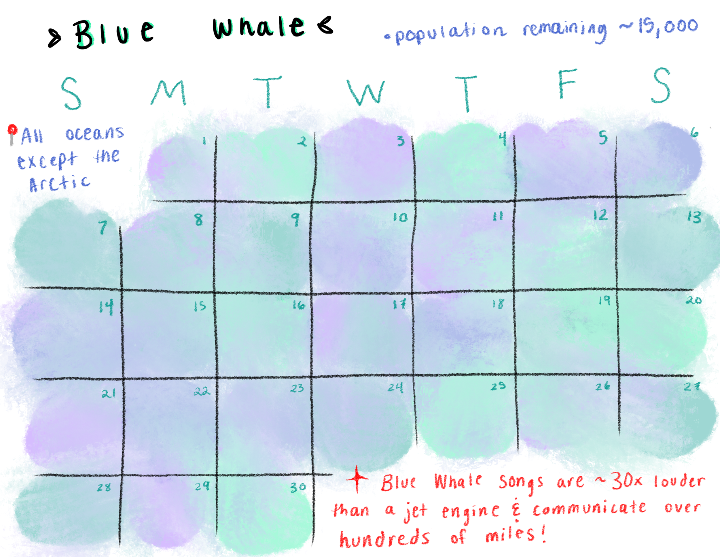 (PAGE 13) Whale.PNG