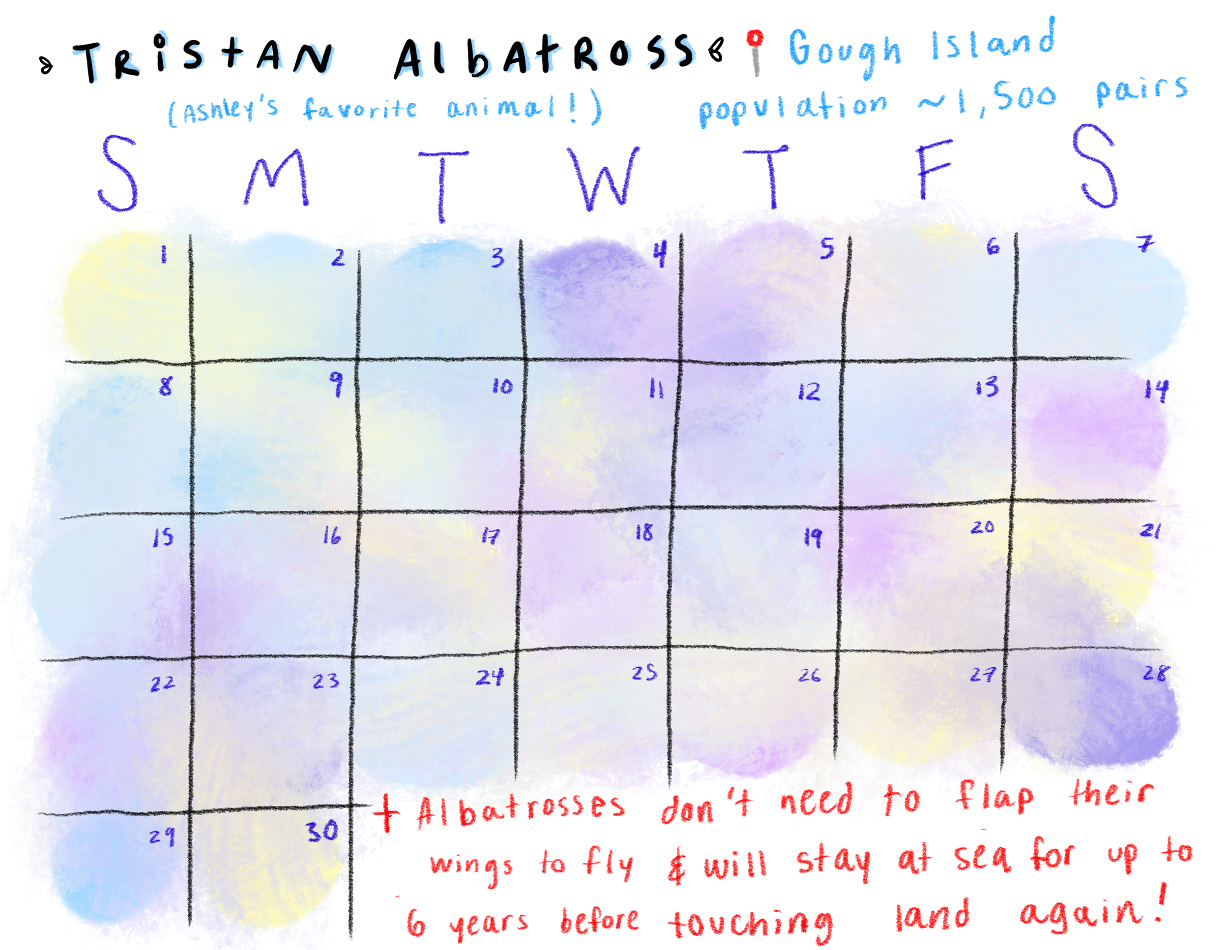 (PAGE 23) Albatross.PNG