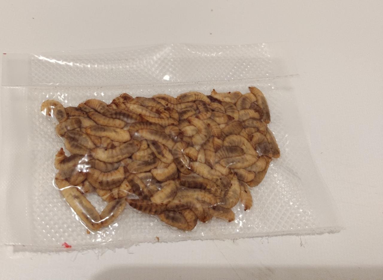 BSF larva fresca (20 g)