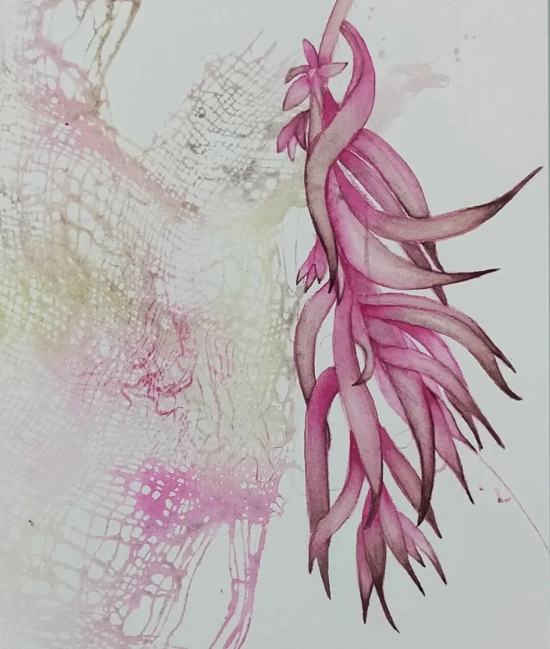 Another Austral Sea Blite succulent.
.
.
.
@danielsmithartistsmaterials
inspiredbynature#nature#stillness# #nurturingnature #watercolor  #watercolours#piemontitegenuine#danielsmithpaints#danielsmithwatercolours#watercoloursketch#natureresearch#artinn