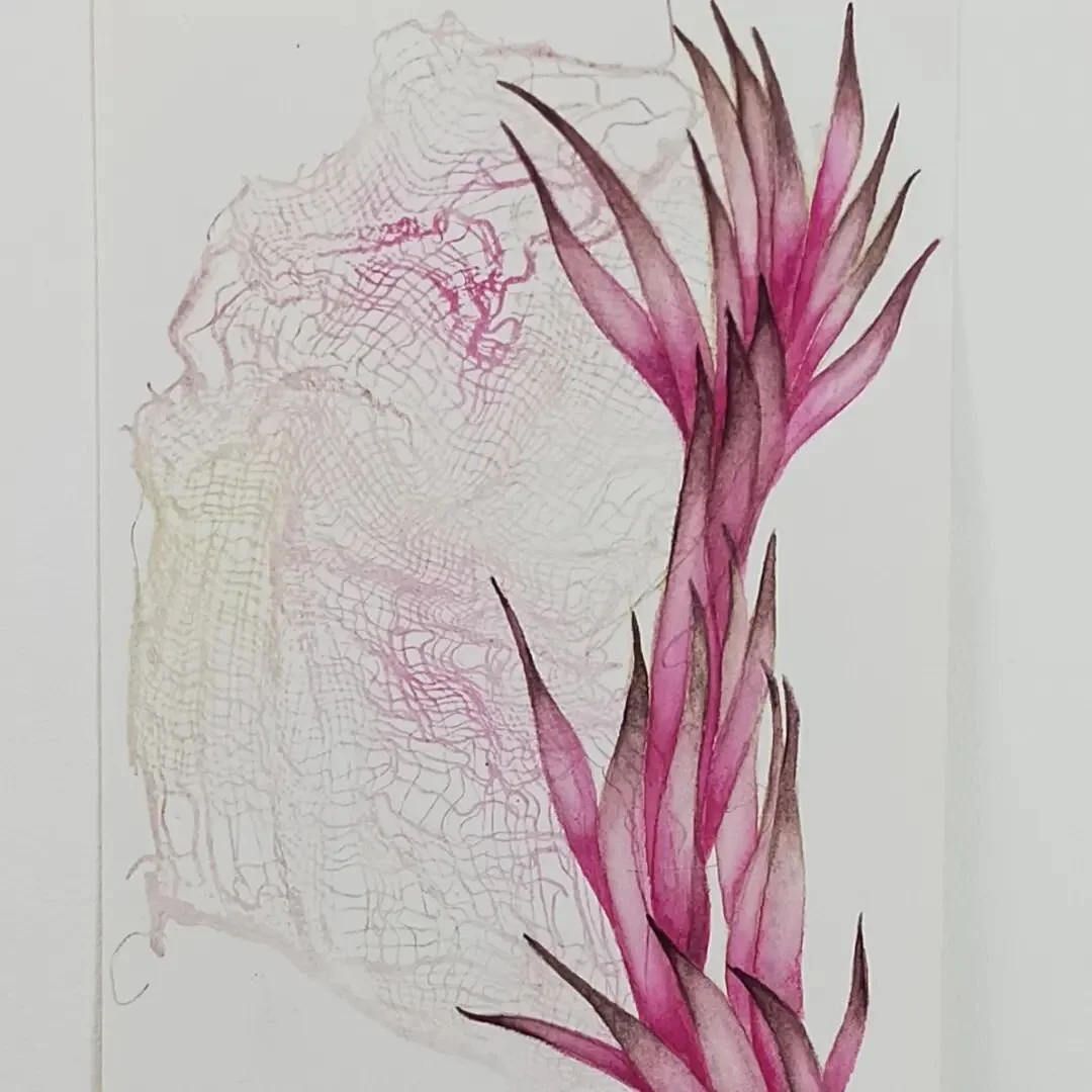 Finally back to the painting after a hiatus.
I'm continuing with the Austral Sea Blite succulent. Feels good to have a paintbrush in the hand again.
.
.
.
@danielsmithartistsmaterials
inspiredbynature#nature#stillness# #nurturingnature #watercolor  #