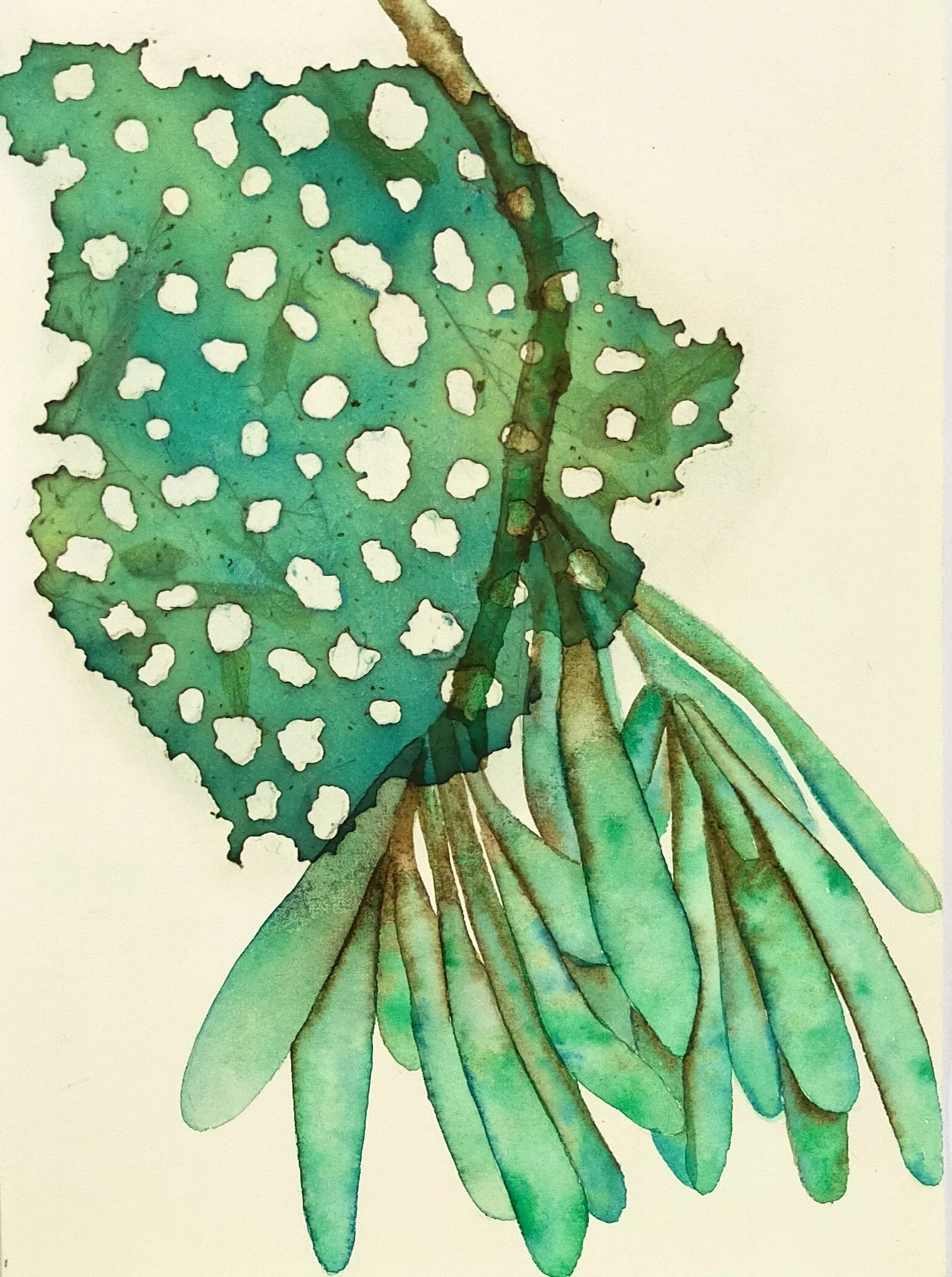 Turquoise Banksia -
Watercolour and Burnt Rice paper -H 28.5cm x W 24cm