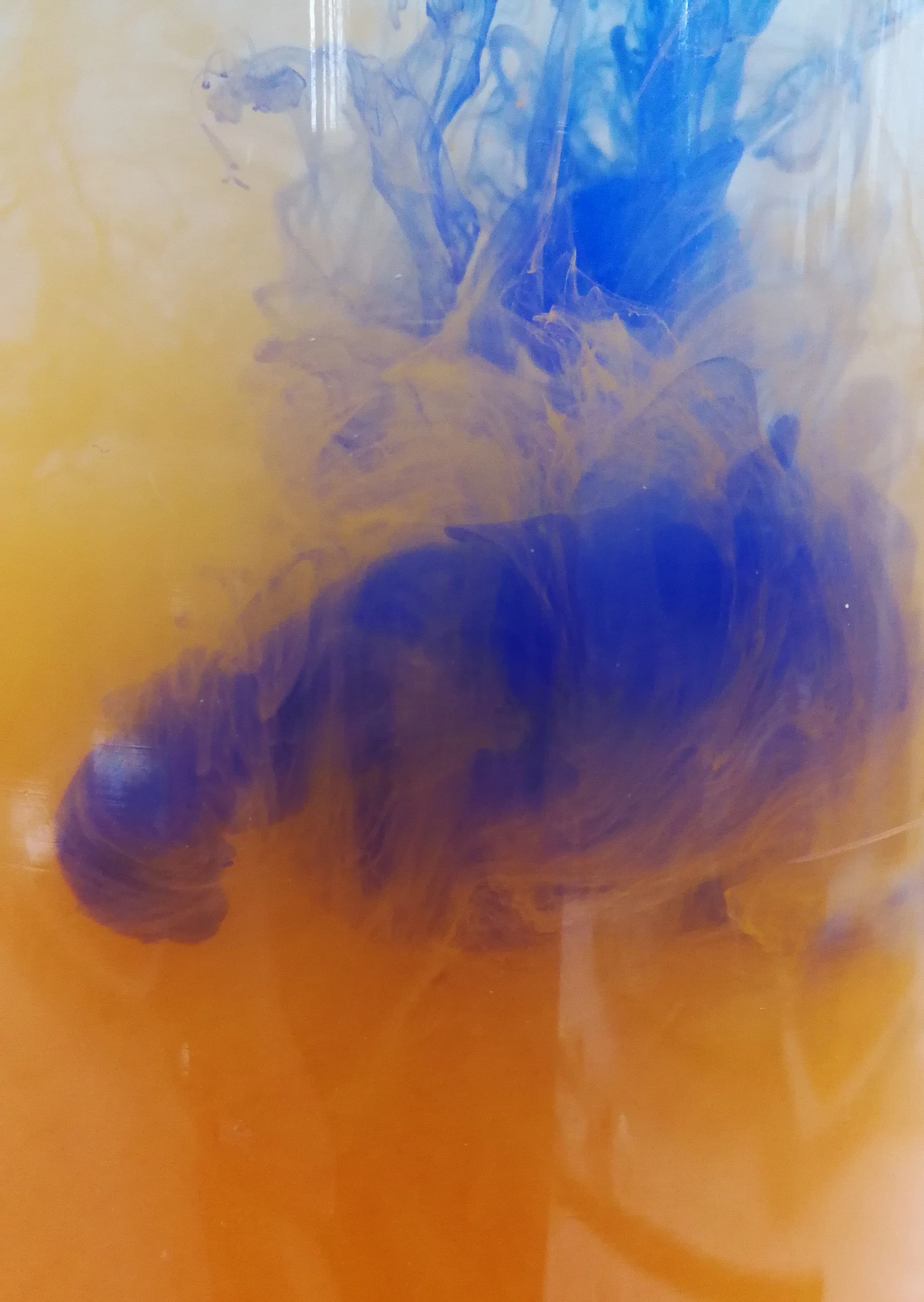 BIO