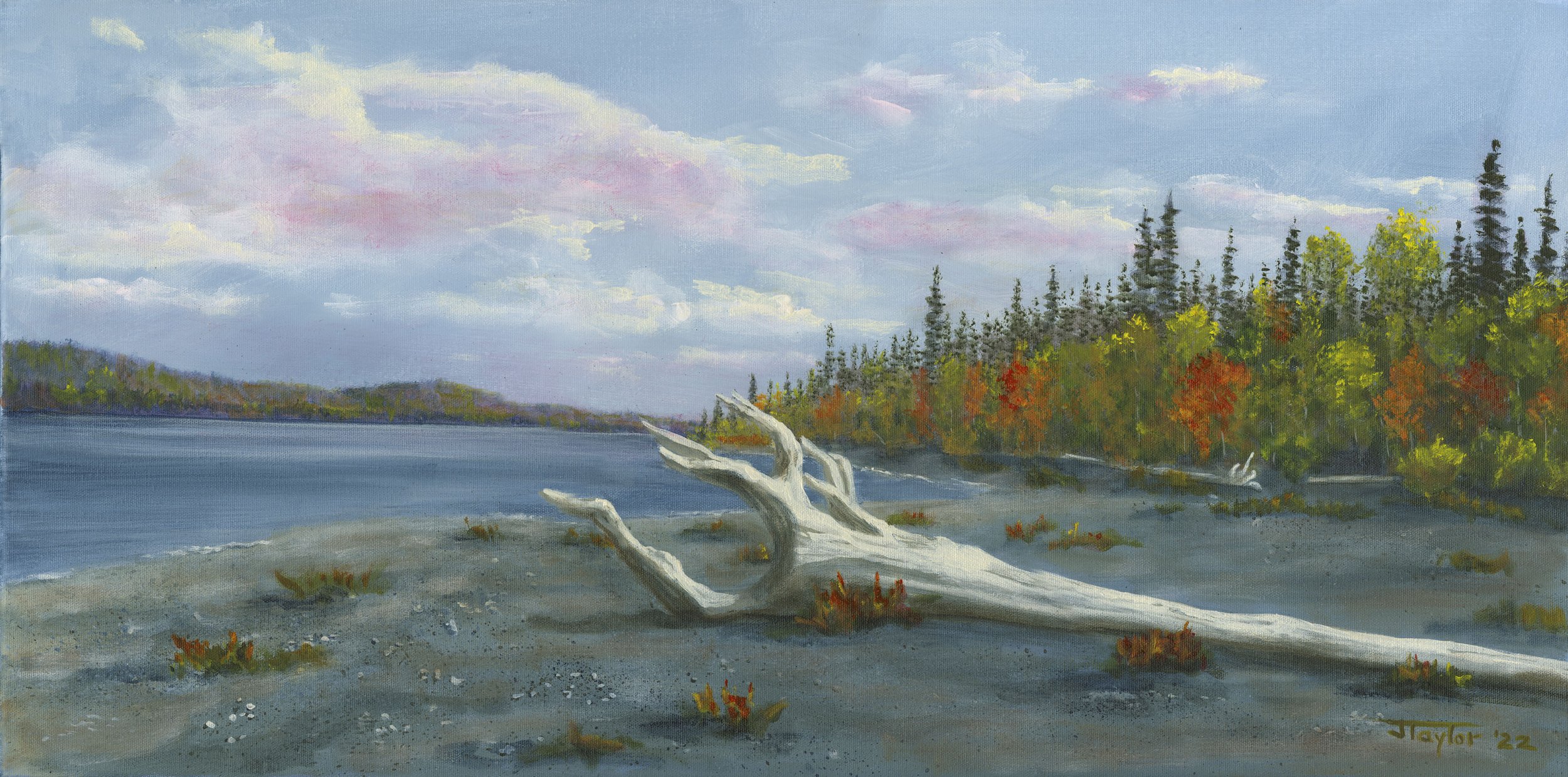 In The Fall of Life