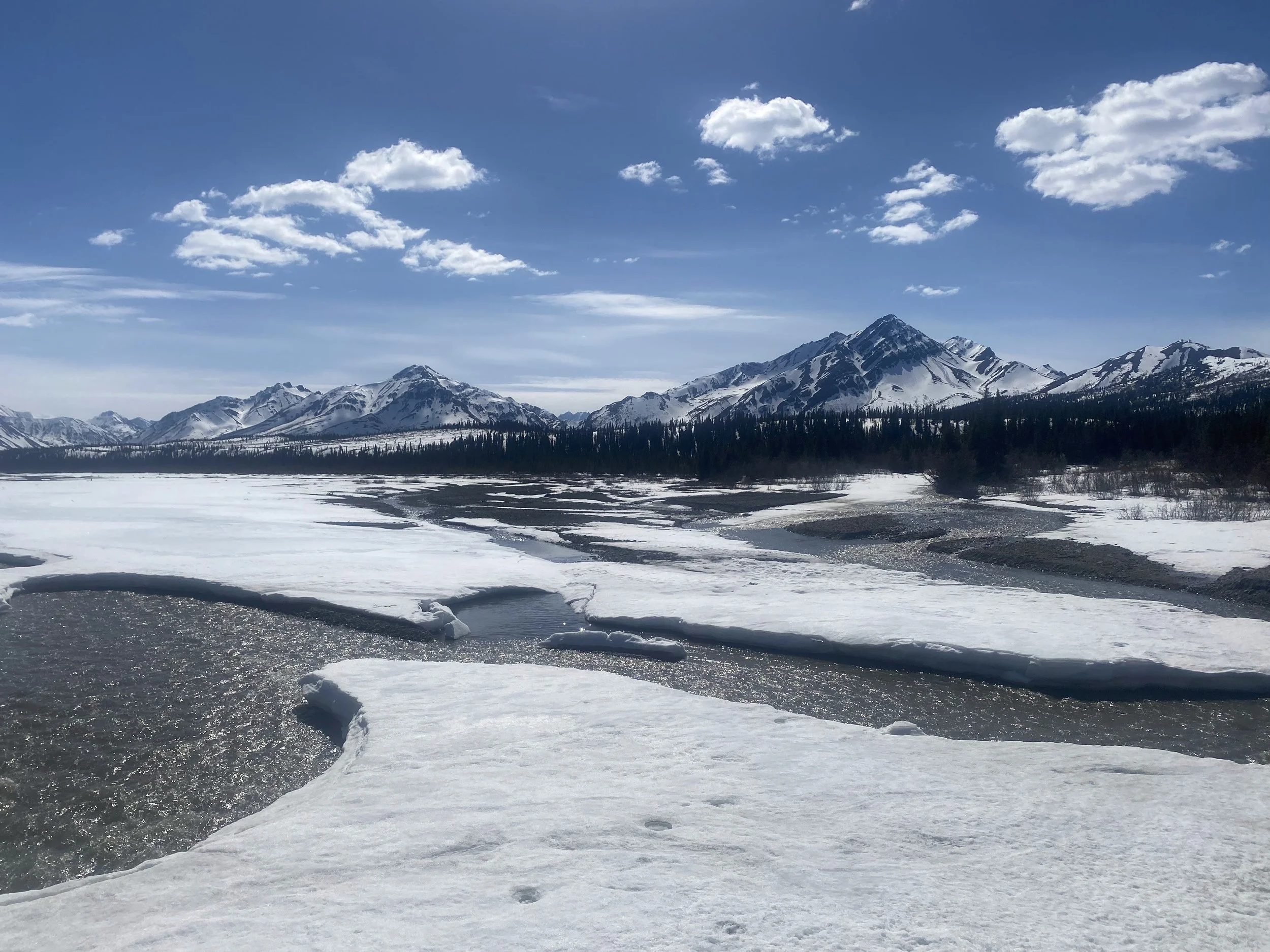Biking Denali Park Road