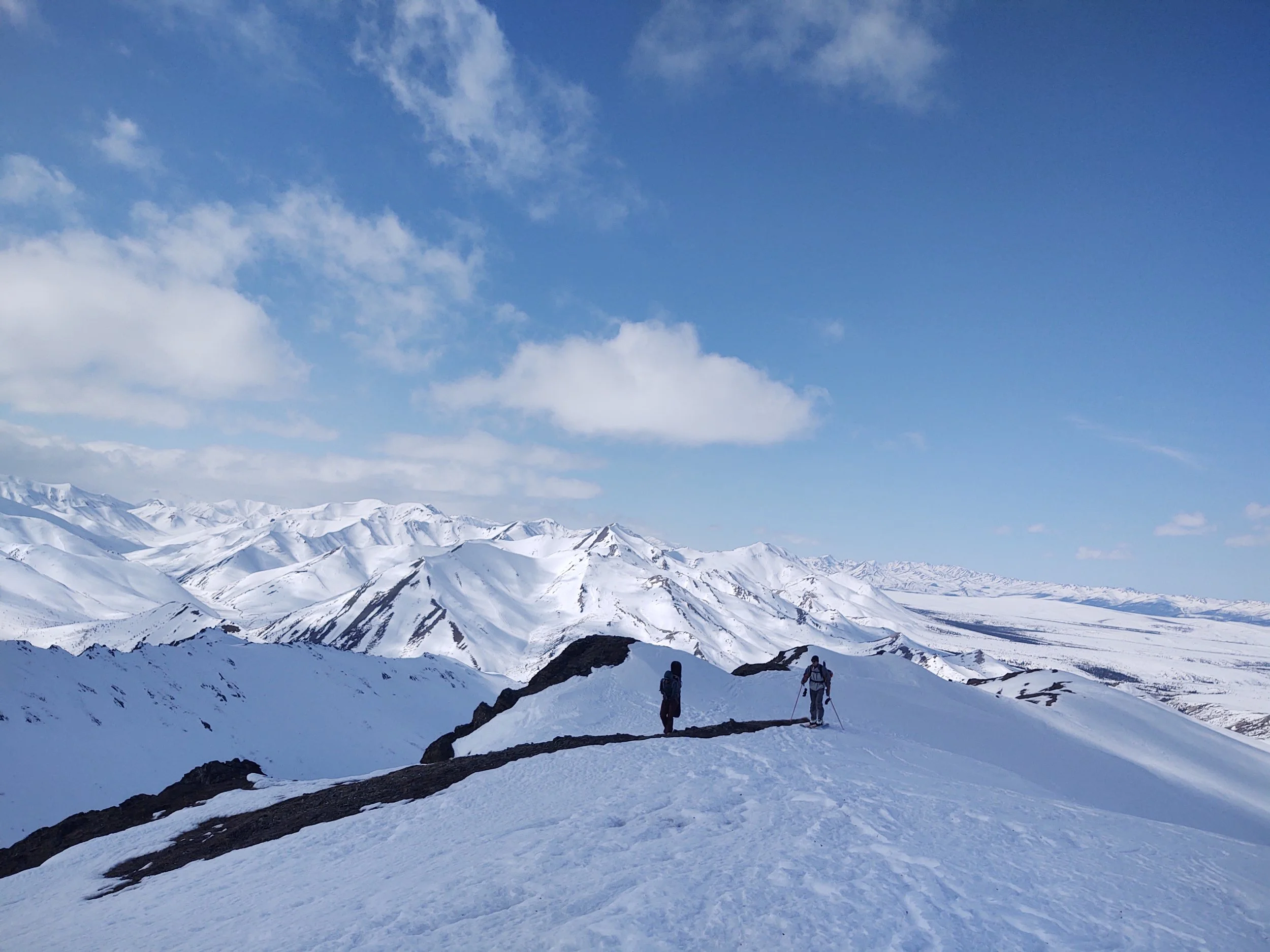 Backcountry Skiing in Denali National Park