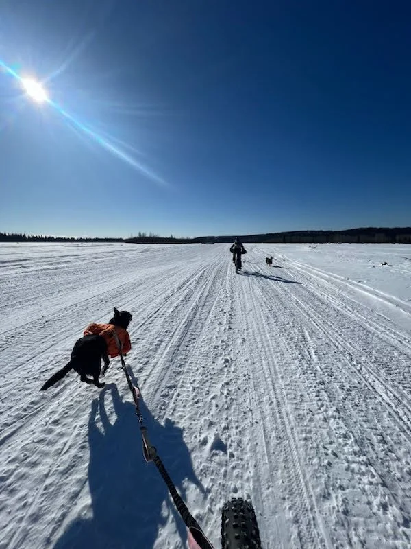 Winter on the Tanana River