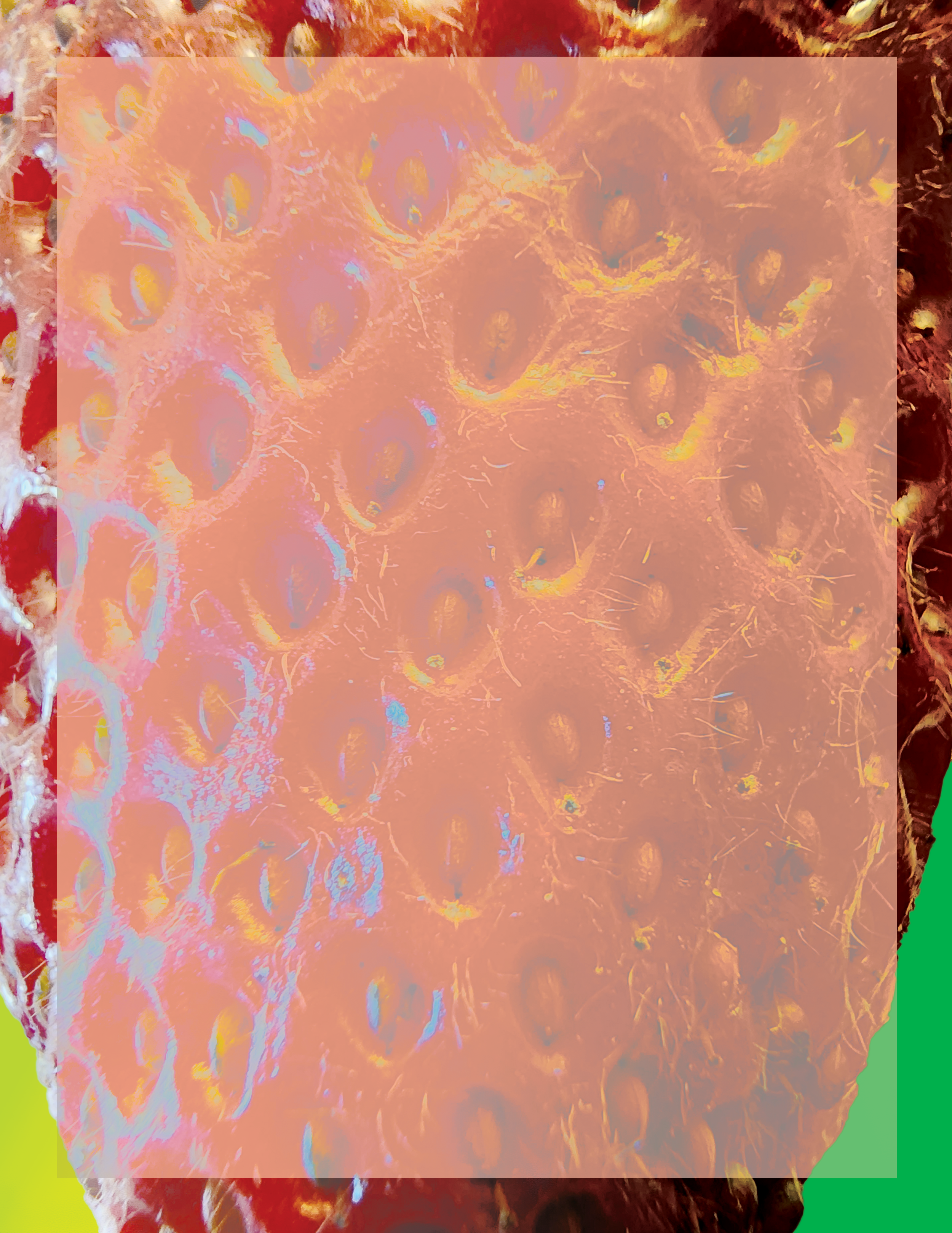 Strawberry Daiquiri.png