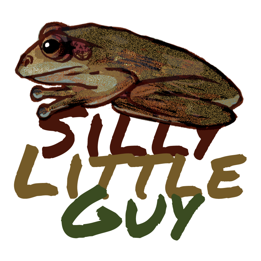 Silly Little Guy.png