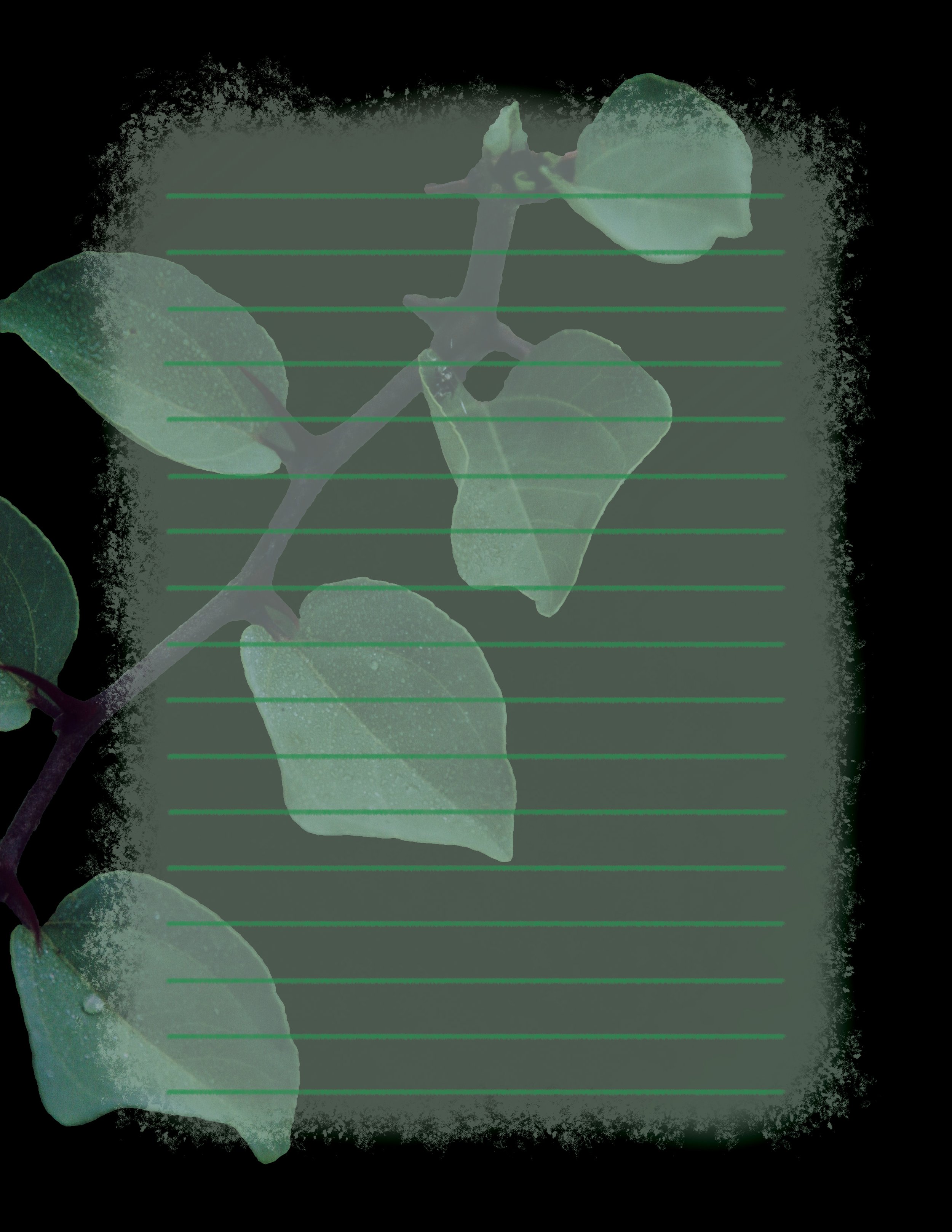 Shadow Garden Letter Lined.jpg