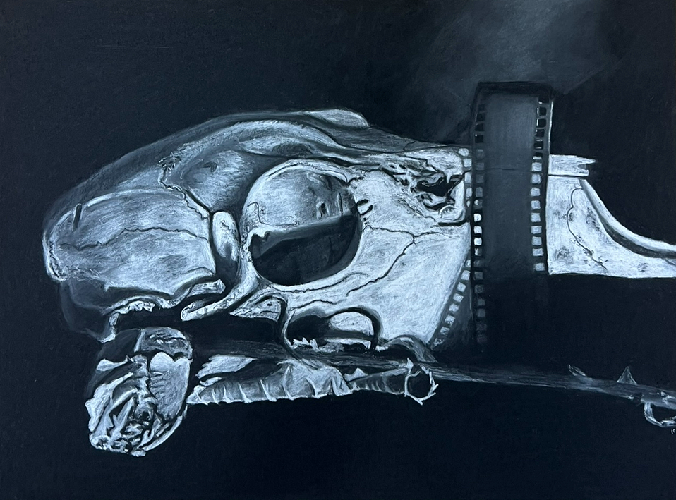 Vanita Charcoal Drawing.png